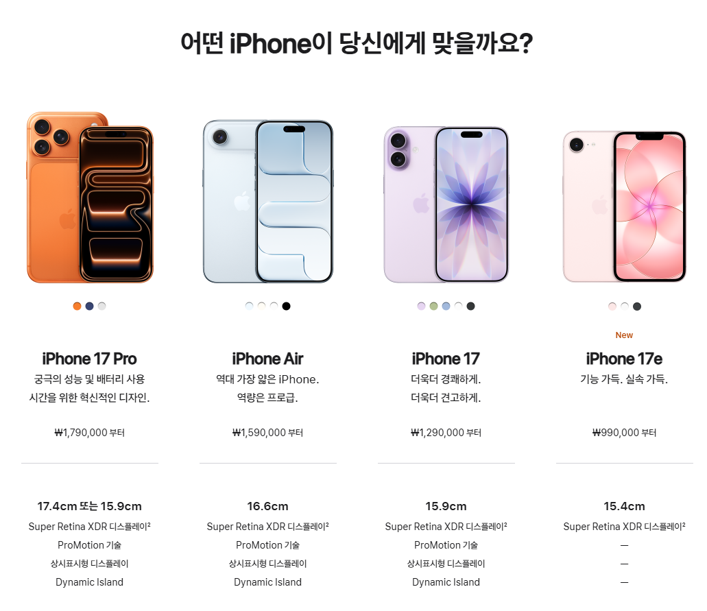 iPhone 17 Pro(15.9cm 디스플레이)