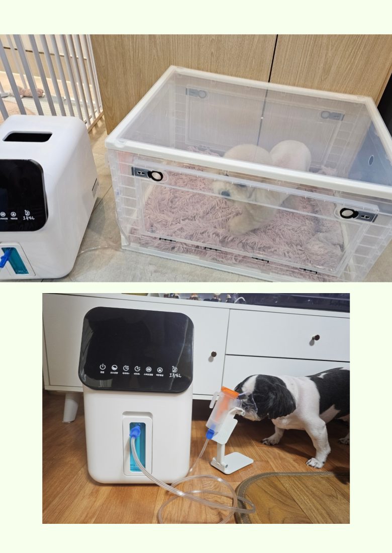 산소발생기 산소방 애견 가정용