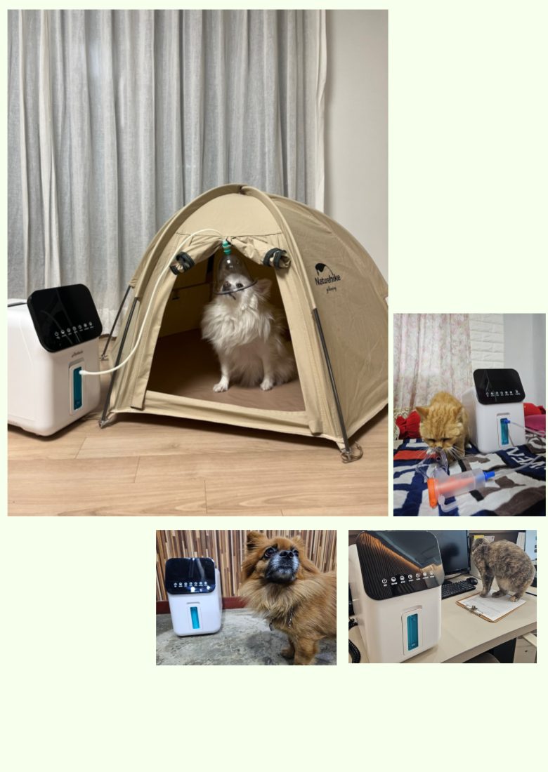 산소발생기 산소방 애견 가정용