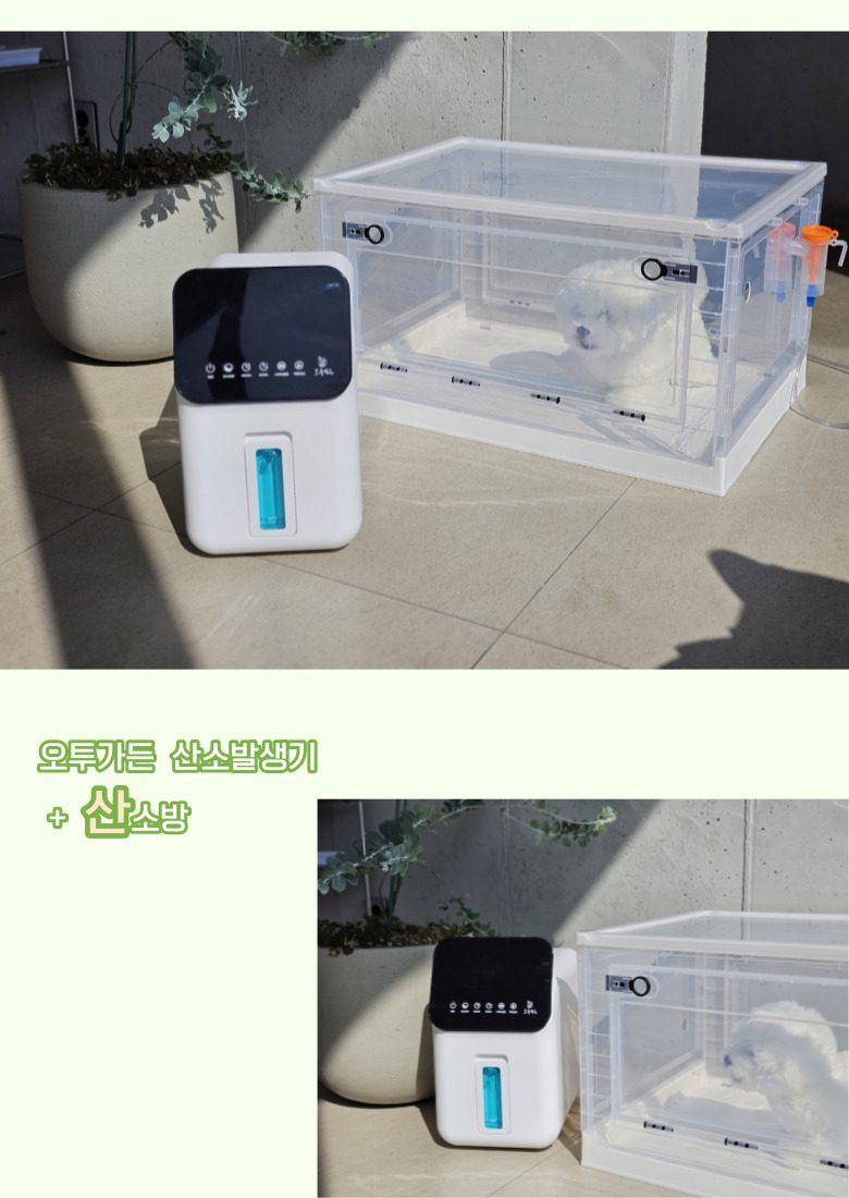 산소발생기 산소방 애견 가정용