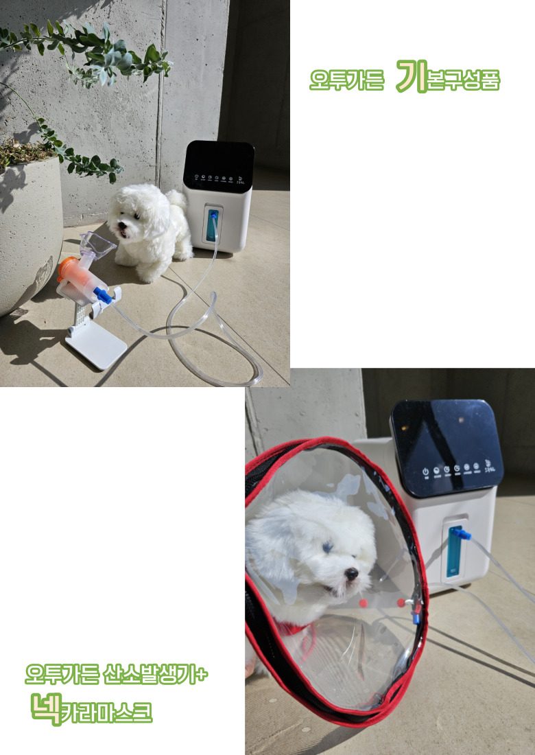 산소발생기 산소방 애견 가정용